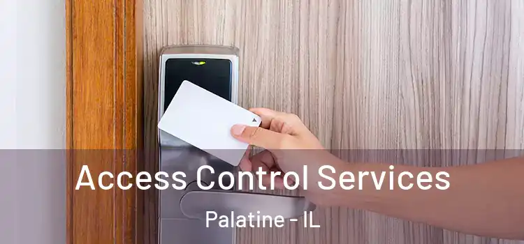  Access Control Services Palatine - IL