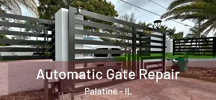 Automatic Gate Repair Palatine - IL
