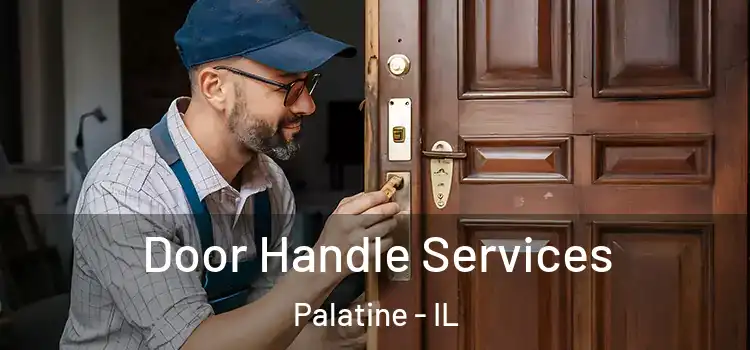 Door Handle Services Palatine - IL
