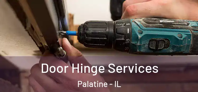 Door Hinge Services Palatine - IL