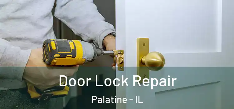 Door Lock Repair Palatine - IL