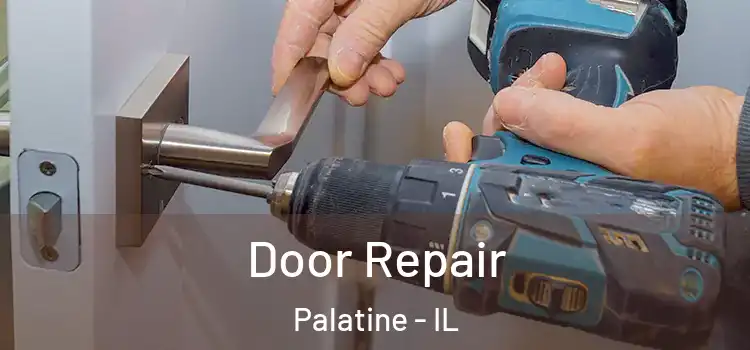Door Repair Palatine - IL