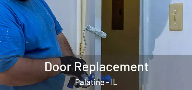  Door Replacement Palatine - IL