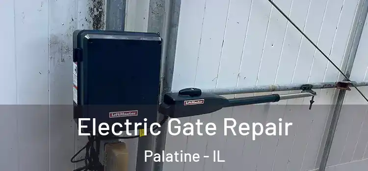 Electric Gate Repair Palatine - IL