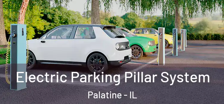 Electric Parking Pillar System Palatine - IL