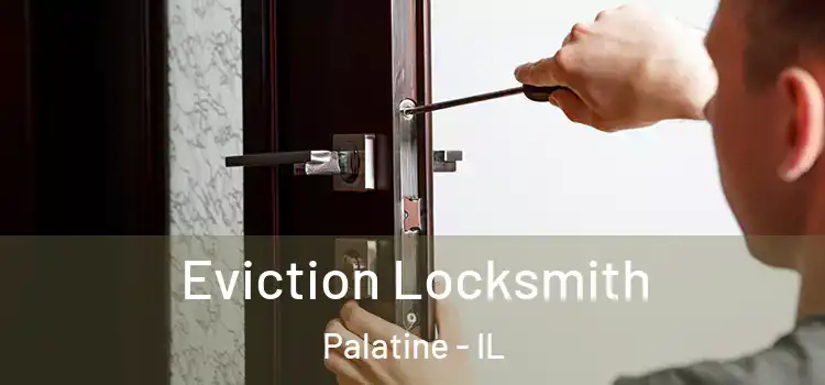  Eviction Locksmith Palatine - IL