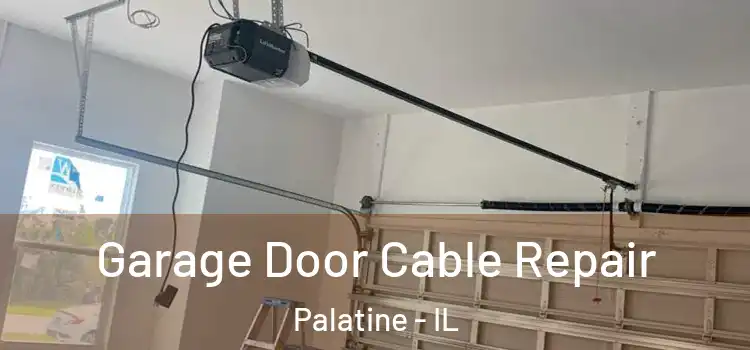  Garage Door Cable Repair Palatine - IL