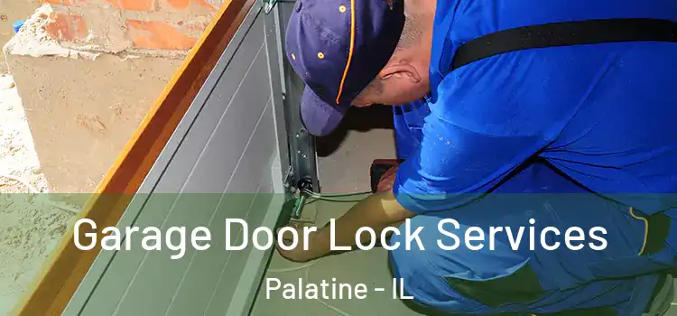 Garage Door Lock Services Palatine - IL