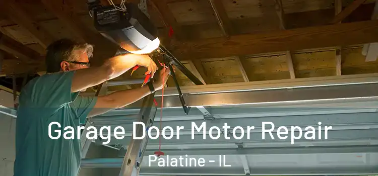  Garage Door Motor Repair Palatine - IL