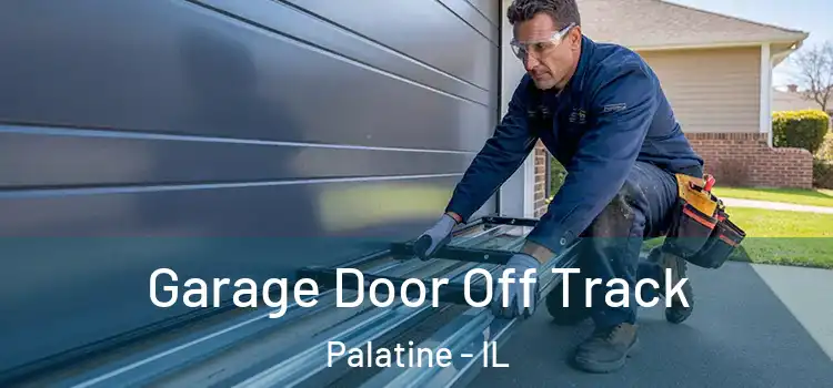  Garage Door Off Track Palatine - IL