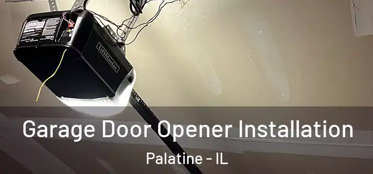  Garage Door Opener Installation Palatine - IL