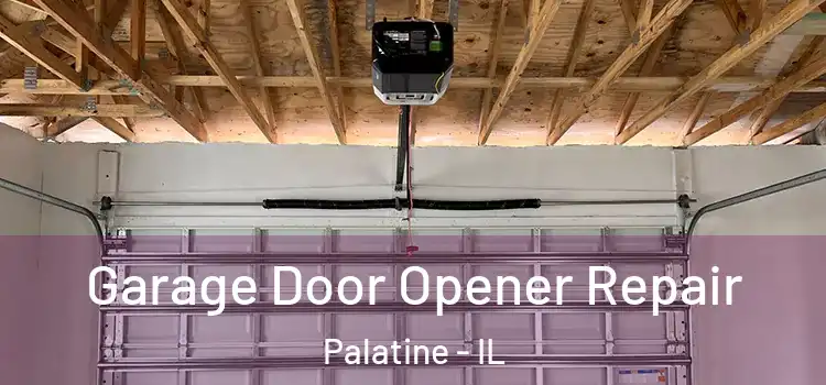  Garage Door Opener Repair Palatine - IL