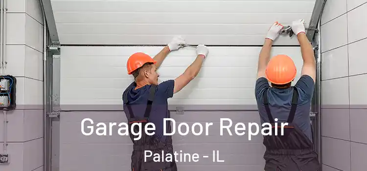  Garage Door Repair Palatine - IL