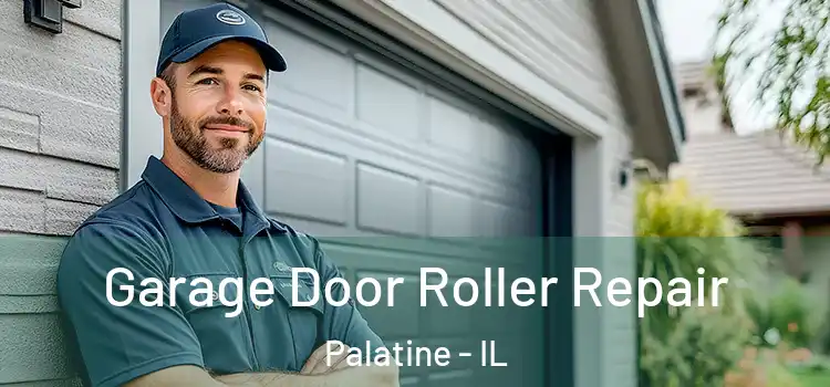  Garage Door Roller Repair Palatine - IL