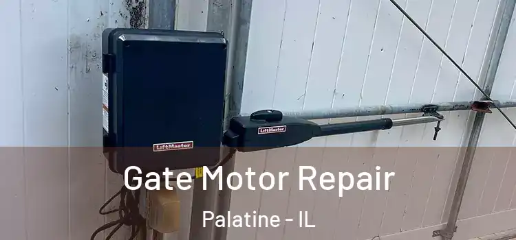 Gate Motor Repair Palatine - IL