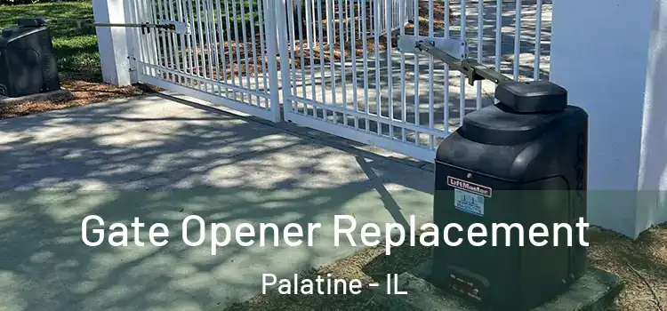 Gate Opener Replacement Palatine - IL