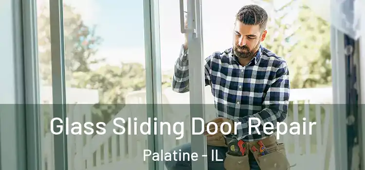  Glass Sliding Door Repair Palatine - IL