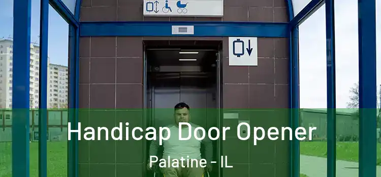  Handicap Door Opener Palatine - IL