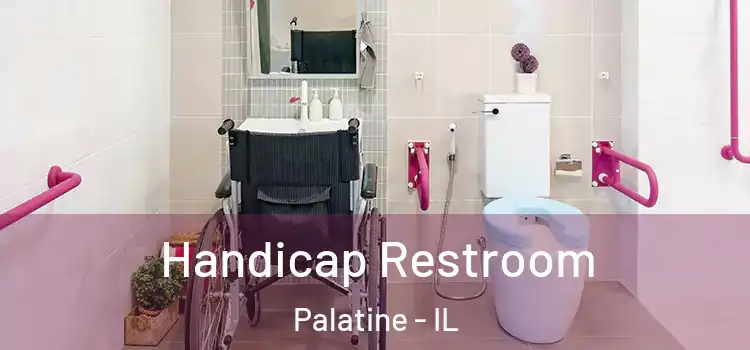 Handicap Restroom Palatine - IL