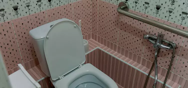 Meeting Diverse Needs With Accessible Restroom Solutions in Palatine, IL