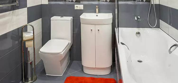 Hansgrohe Shaving Mirror Palatine