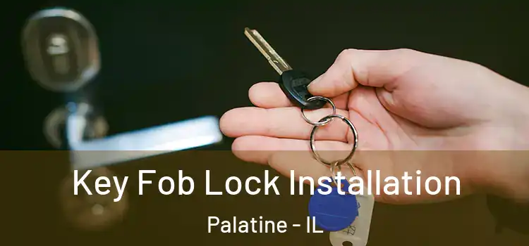 Key Fob Lock Installation Palatine - IL