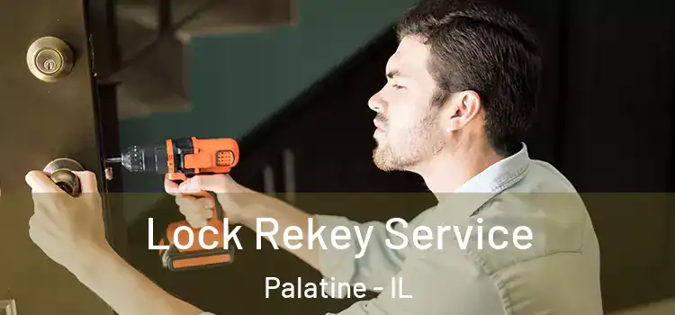 Lock Rekey Service Palatine - IL