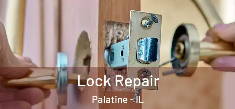 Lock Repair Palatine - IL