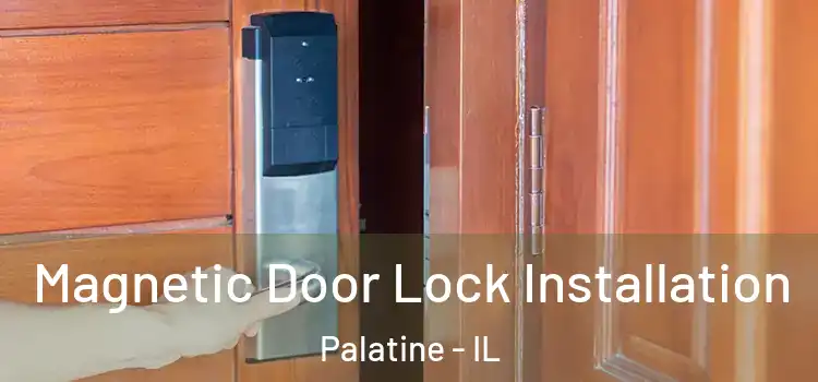  Magnetic Door Lock Installation Palatine - IL