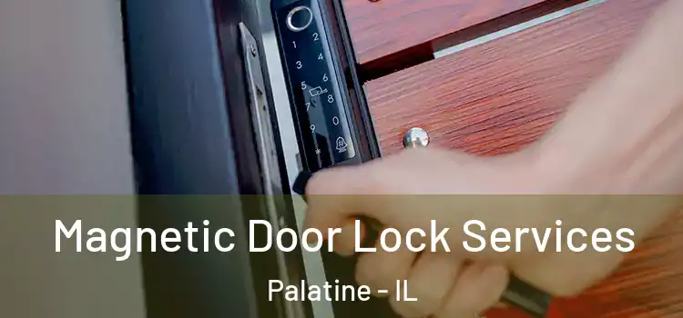 Magnetic Door Lock Services Palatine - IL