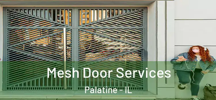 Mesh Door Services Palatine - IL