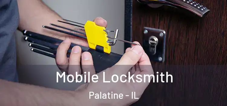  Mobile Locksmith Palatine - IL