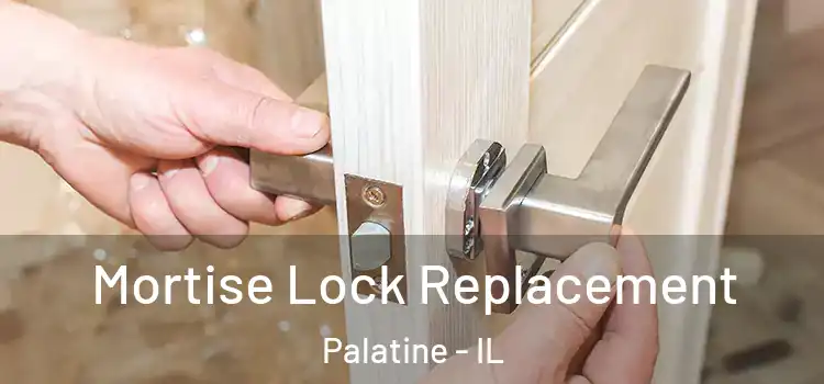 Mortise Lock Replacement Palatine - IL