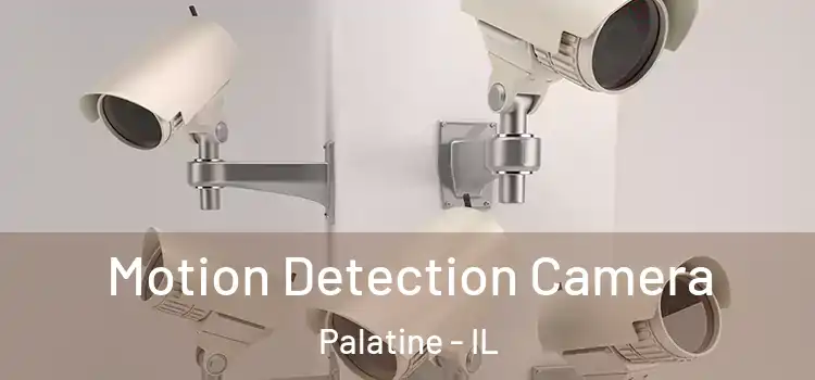  Motion Detection Camera Palatine - IL