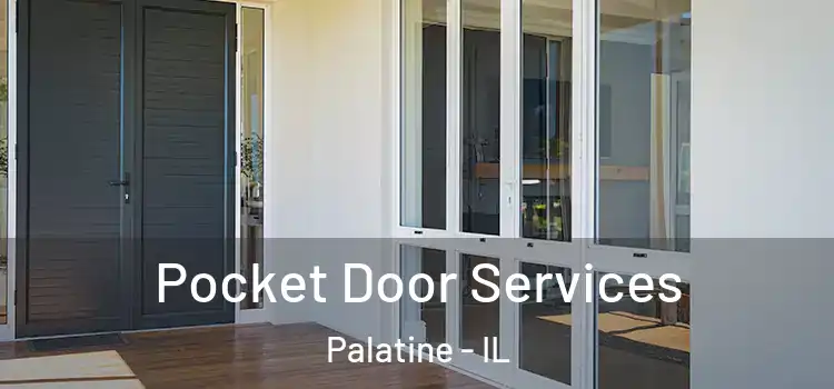 Pocket Door Services Palatine - IL