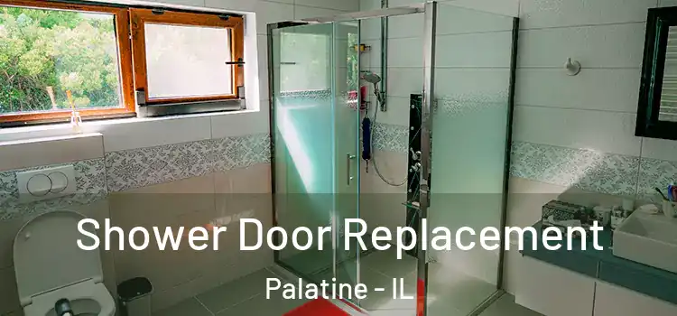 Shower Door Replacement Palatine - IL