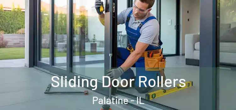 Sliding Door Rollers Palatine - IL