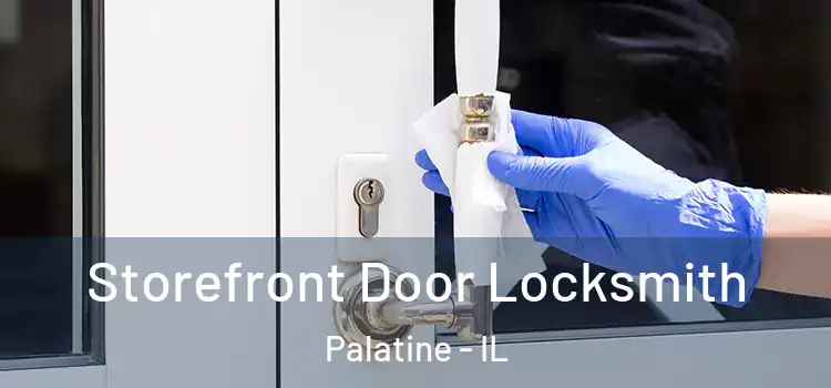 Storefront Door Locksmith Palatine - IL
