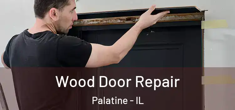 Wood Door Repair Palatine - IL